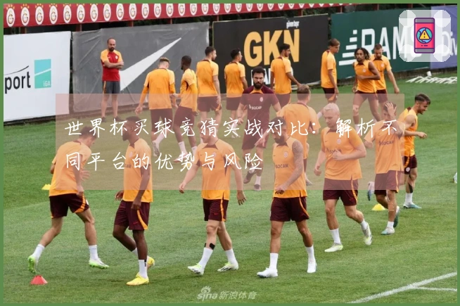 世界杯买球竞猜实战对比：解析不同平台的优势与风险