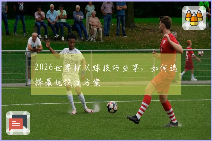 2026世界杯买球技巧分享，如何选择最优投注方案