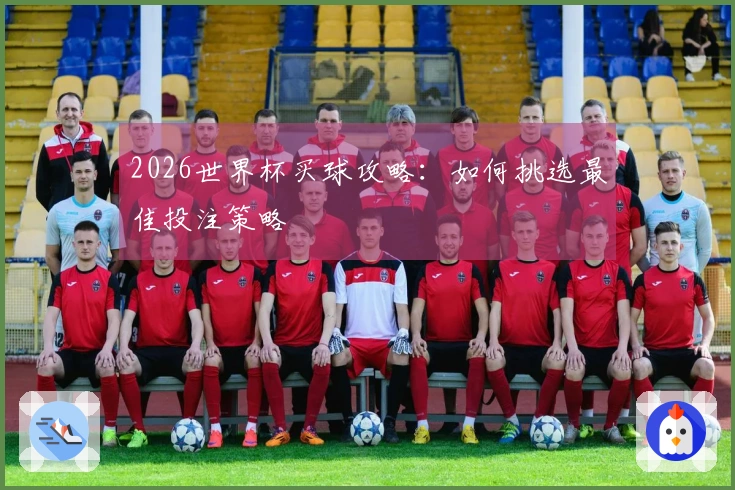 2026世界杯买球攻略：如何挑选最佳投注策略