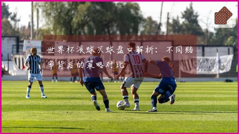 世界杯滚球买球盘口解析：不同赔率背后的策略对比