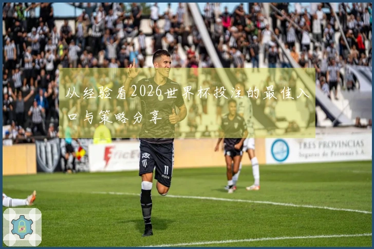 从经验看2026世界杯投注的最佳入口与策略分享