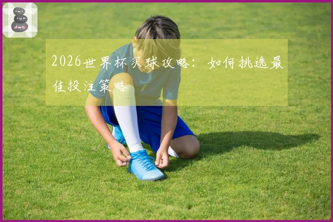2026世界杯买球攻略：如何挑选最佳投注策略