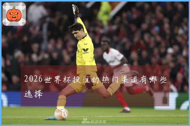 2026世界杯投注的热门渠道有哪些选择