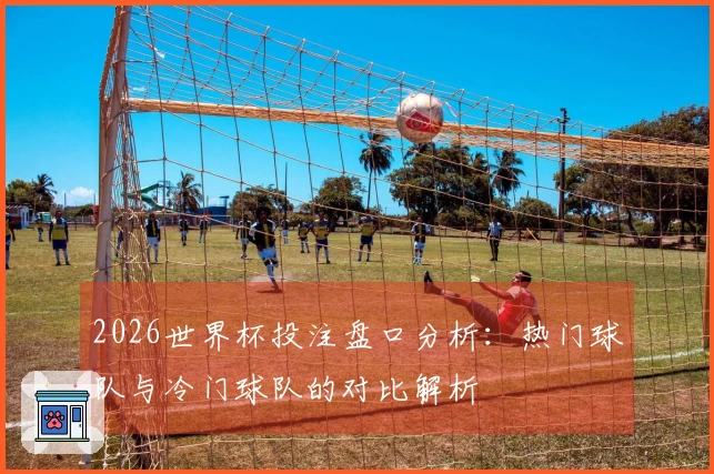2026世界杯投注盘口分析：热门球队与冷门球队的对比解析
